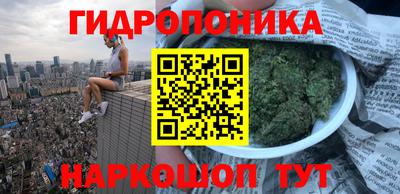 шишки Можайск