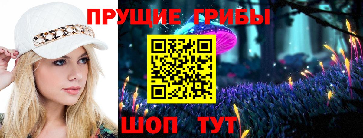 Ступино  Галлюциногенные грибы Magic Shrooms  закладки  Вход с VPN 